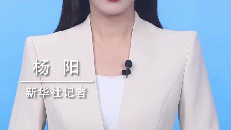 知识图谱：金融行业智能化转型的“大脑”力量